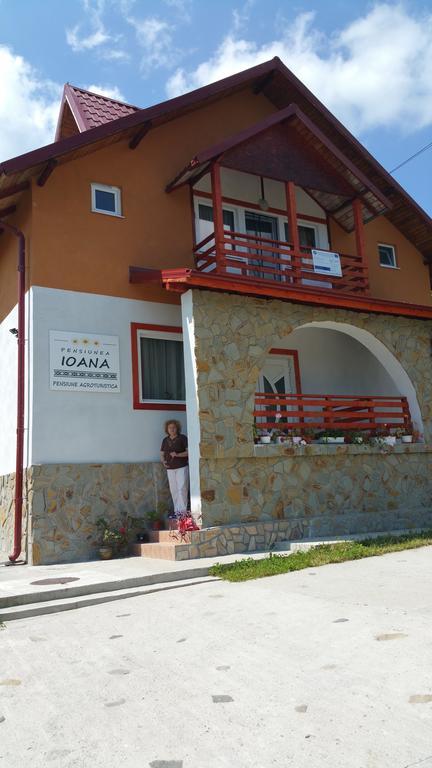 Pensiunea Agroturistica Ioana Bradulet Exterior foto