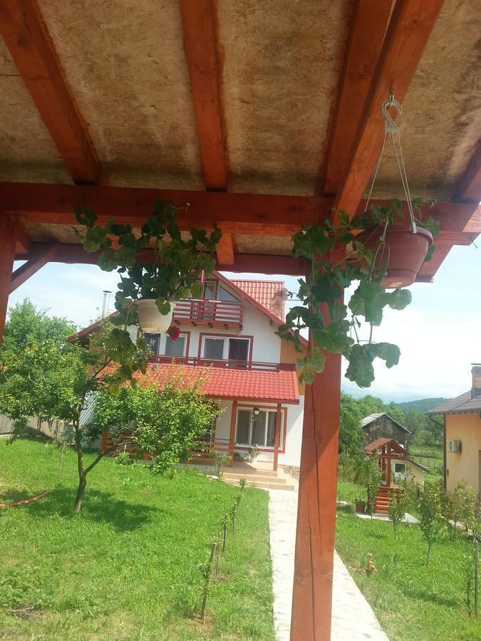 Pensiunea Agroturistica Ioana Bradulet Exterior foto
