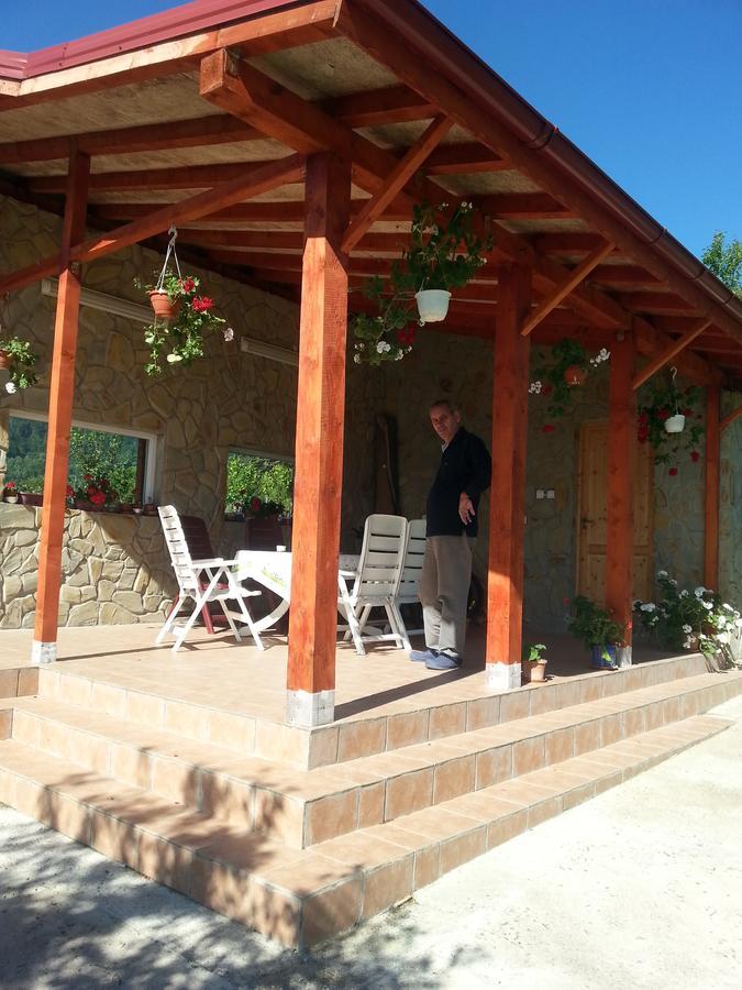 Pensiunea Agroturistica Ioana Bradulet Exterior foto