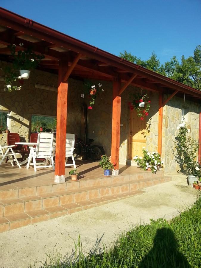 Pensiunea Agroturistica Ioana Bradulet Exterior foto